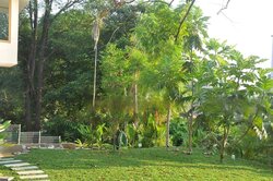 Cluny Road (D10), Detached #460731471